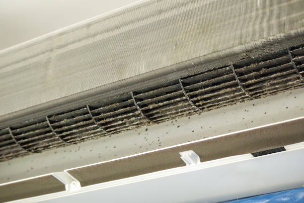 Best Affordable HVAC Duct Cleaning  in Madeira Beach, FL